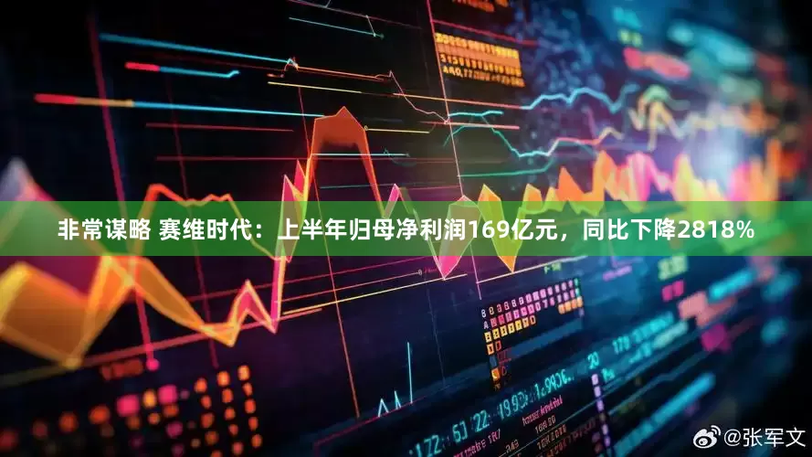 非常谋略 赛维时代：上半年归母净利润169亿元，同比下降2818%